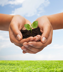 Image showing woman hands holding plant in soil