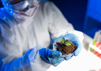 Image showing close up of scientist with plant and soil in lab