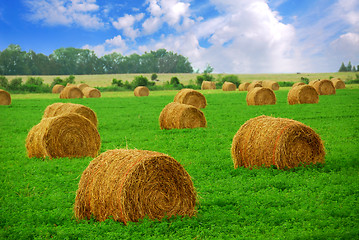 Image showing Hay bales