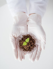 Image showing close up of scientist hands with plant and soil 