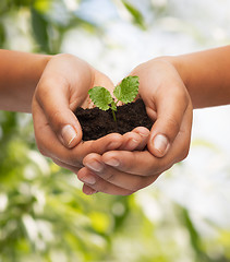 Image showing woman hands holding plant in soil