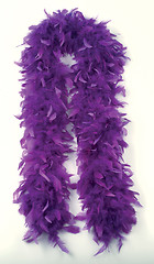 Image showing feather boas