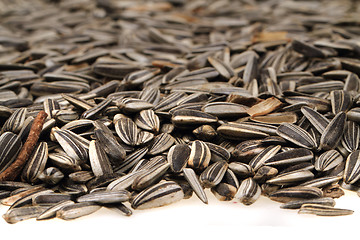 Image showing sunflower seeds as nice background