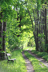 Image showing bench in the spring park 