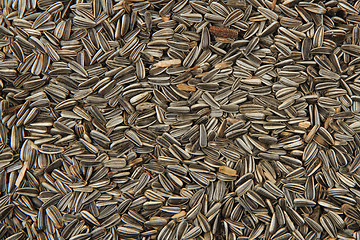 Image showing sunflower seeds as nice background