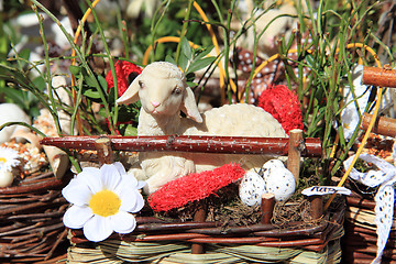 Image showing small sheep as nice easter background