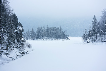 Image showing Eibsee winter