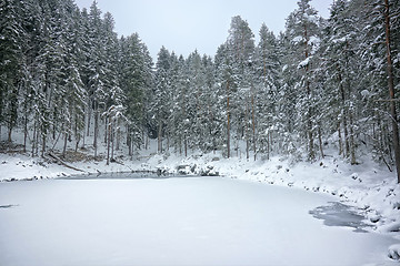 Image showing Eibsee winter