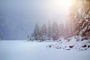 Image showing Eibsee winter