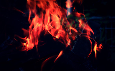 Image showing dry logs are burning at the stake