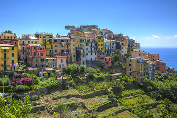 Image showing Corniglia - Cinque Terre,Italy