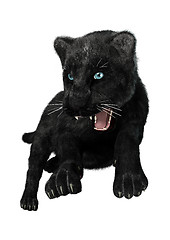 Image showing Hunting Black Panther