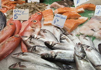 Image showing Various fresh fish on ice