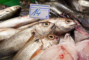 Image showing Various fresh fish on ice