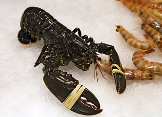 Image showing Fresh lobster