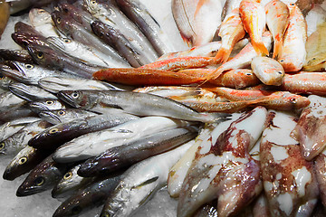 Image showing Various fresh fish on ice