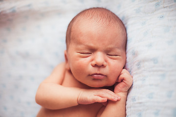 Image showing Sweet newborn baby