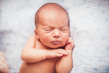 Image showing Sweet newborn baby