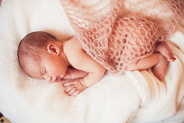 Image showing Sweet newborn baby