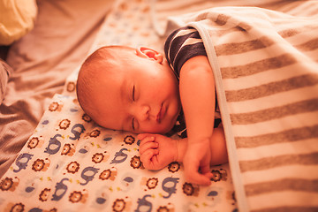 Image showing Sweet newborn baby