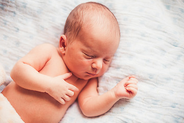 Image showing Sweet newborn baby