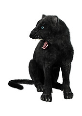 Image showing Black Panther