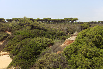 Image showing Wilderness in Spain