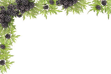 Image showing blackberries background