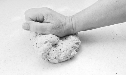 Image showing Woman kneading bread dough by hand