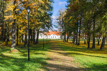 Image showing Alley in the autumn in the old manor park