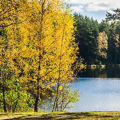 Image showing Beautiful autumn landscape with forest Lake  