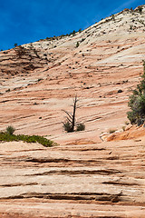 Image showing Zion National Park