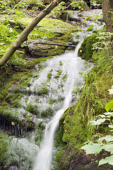 Image showing Stream in the Green