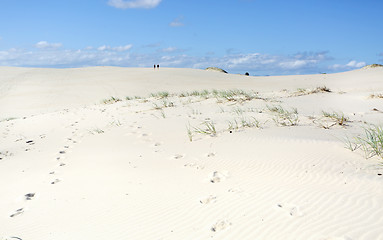 Image showing Dark Point Sand Dunes Australia