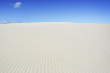 Image showing Miles and Miles of Sand at Dark Point