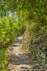 Image showing Footpath in Cinque Terre National Park