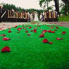 Image showing Wedding ceremony in a beautiful garden.