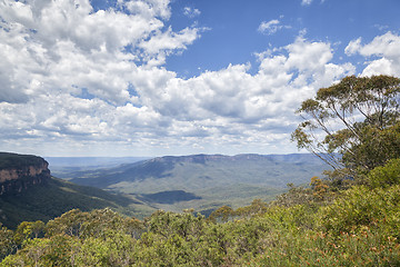 Image showing Blue Mountains