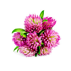 Image showing Clover bouquet