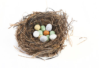 Image showing Nest with easter eggs