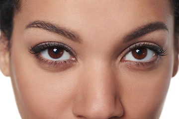 Image showing Cropped closeup image of female brown eyes 