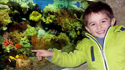 Image showing Little boy in the aquarium