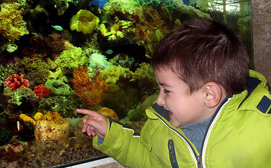 Image showing Little boy in the aquarium