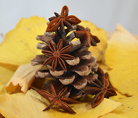 Image showing Fir cone and anise