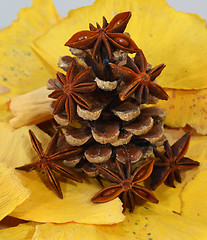 Image showing Fir cone and anise