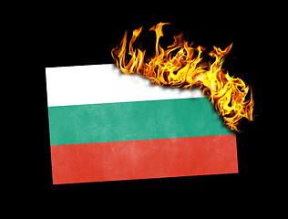 Image showing Flag burning - Bulgaria