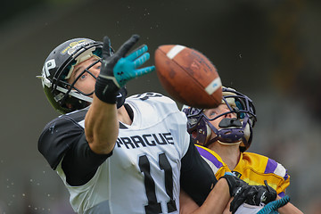 Image showing Vikings vs. Panthers