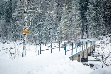 Image showing Eibsee winter