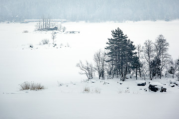 Image showing Eibsee winter
