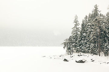 Image showing Eibsee winter